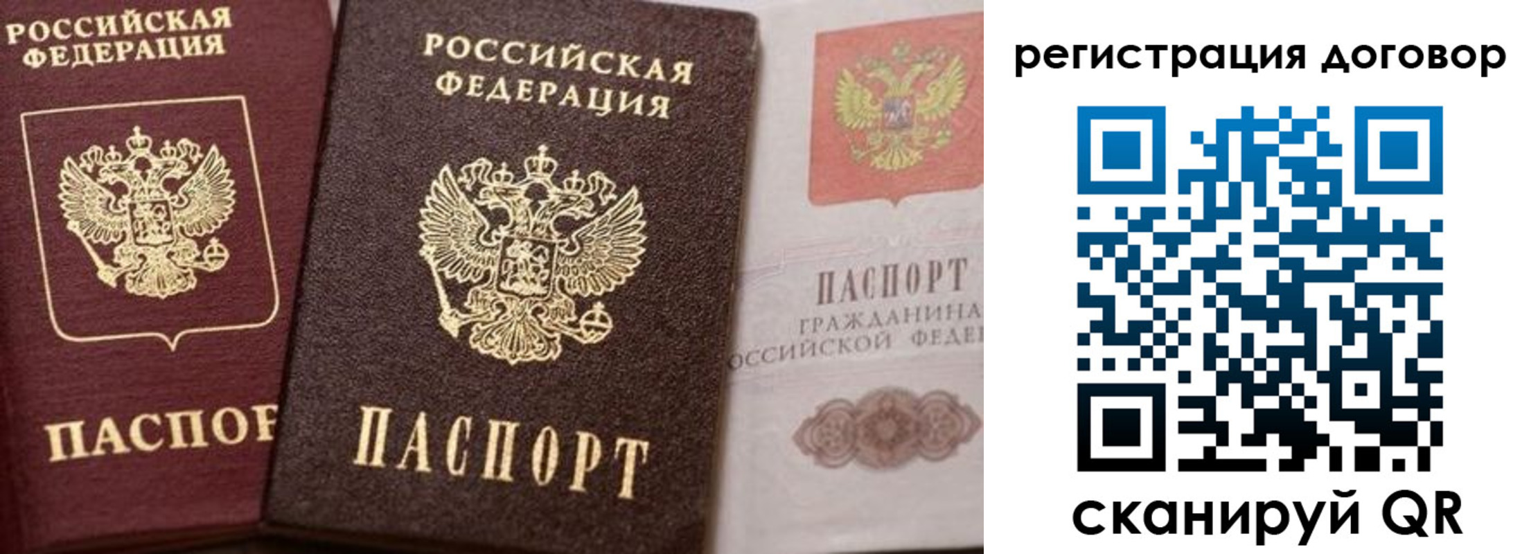 прописка 2025 в Шебекино